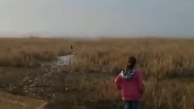 открытие купального сезона