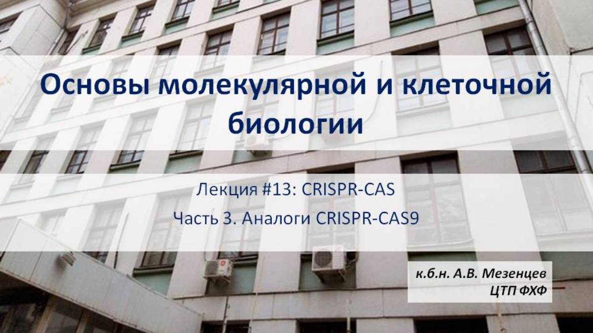 Основы молекулярной и клеточной биологии (2024) Лекция 13. CRISPR-CAS9 Часть 3 Аналоги CRISPR-CAS9