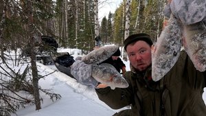 О такой рыбалке мечтают все. Рыбалка на диком таёжном озере. Крупные рыбы жадно хватают приманку.