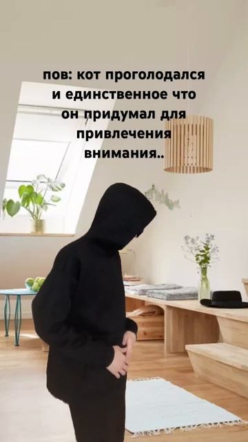 А как ваш питомец просит еду?  питомцы забавныеживотные кот