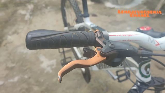 Review mtb pacific tranzline 700