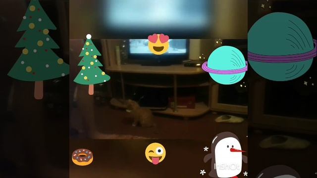 Няша мур мур мур смотреть онлайн