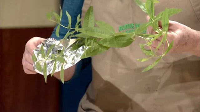 Prepare for Winter: Common Gardening Questions