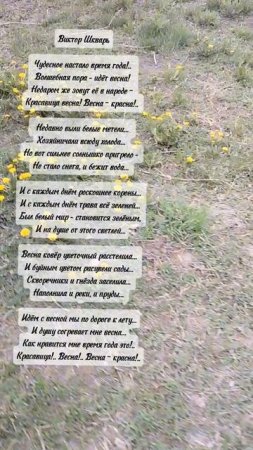 Красавица весна! #стихиовесне #поэзияжизни