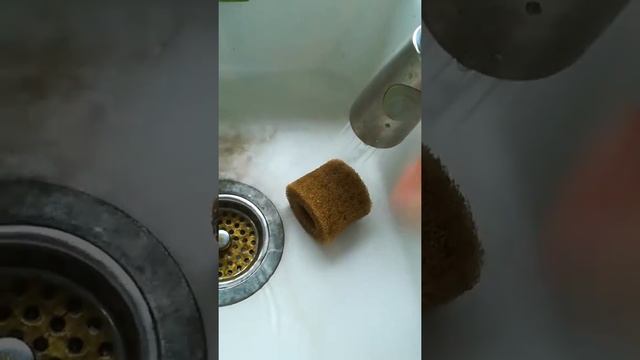 Eheim pre filter cleaning смотреть онлайн