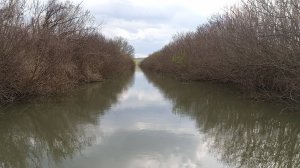 Прокатились 12 км по реке Старая Кубань на сапах.