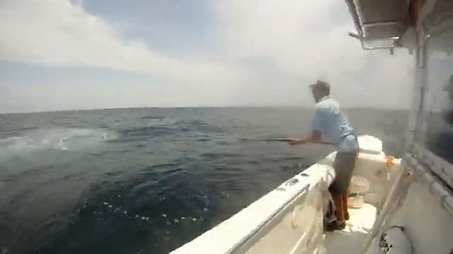 400 pound tiger shark, 23 pound snapper смотреть онлайн
