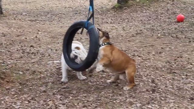 Два брата смотреть онлайн