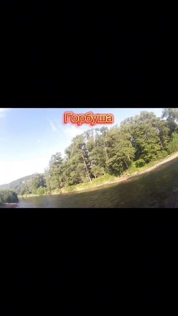 Камчатка|Такой рыбалки🐟 я ещё не видел😳#shorts смотреть онлайн