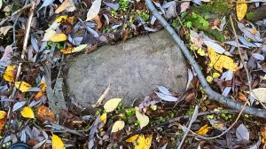 Предполагаю, что в этом овраге я найду ценного не на один десяток тысяч рублей. Часть 1.