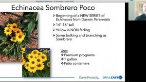 Echinacea - SimulCAST20