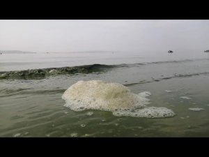 КОГДА ЖАРА ДОЛГО ЦВЕТЕТ РЕКА ВОЛГА!КОНЦА И КРАЯ НЕЕЕТ-RUTUBE