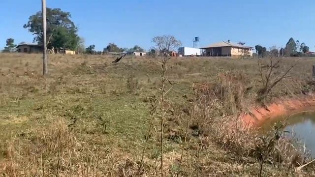 Манго будет? Контейнер и Отпуск.vlog paraguay