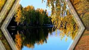 Вечерняя  серенада  Ф.Шуберт