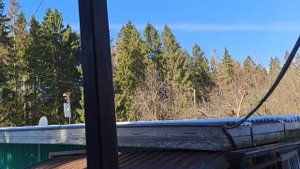 Дикая белка живёт в скворечнике. Чистое, солнечное небо. Весна. Апрель. Жизнь в деревне.