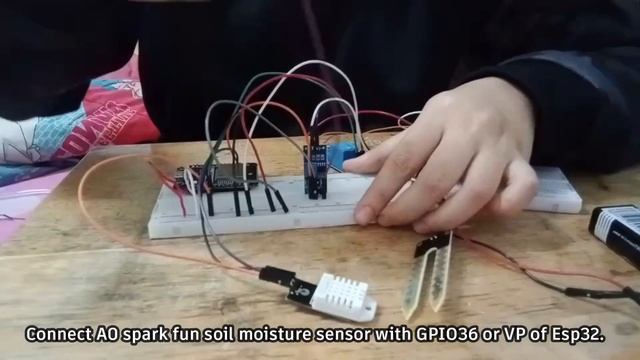 Mini Project- Smart Farm Application with Watering System
