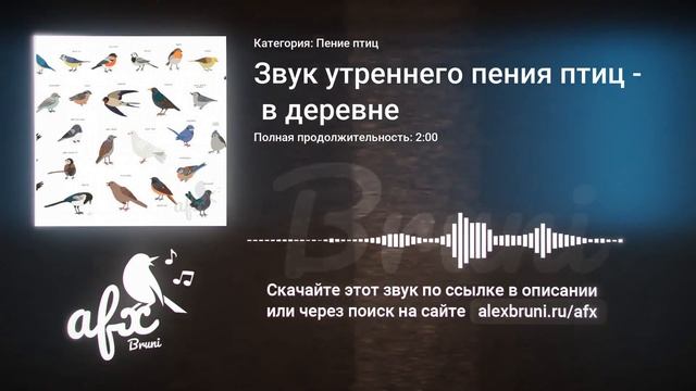 Звук: Звук утреннего пения птиц в деревне смотреть онлайн
