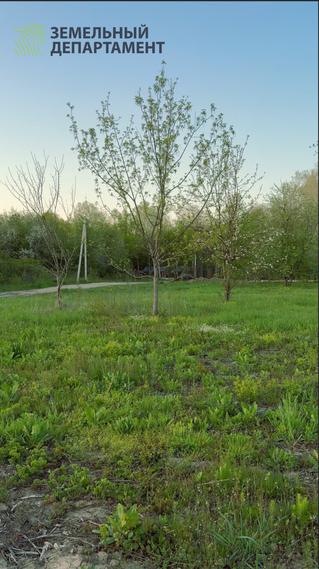 Миниобзор участка в поселке Лесной Уют в Горячем ключе. Участок находится возле центральной широкой