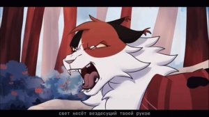 Я станцую на твоей могиле коты воители клип