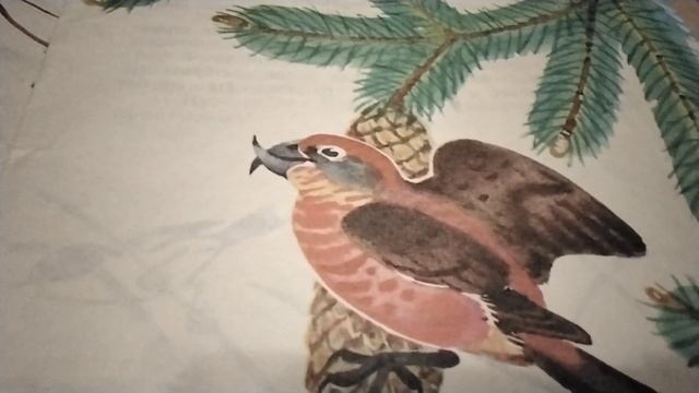 В. В. Бианки " Чей нос лучше?" ч.1.( звук ставить выше) 13 .10. 2023 г. смотреть онлайн