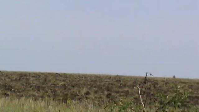 Buhler + Kello-Bilt 225 TSW (1).MPG смотреть онлайн