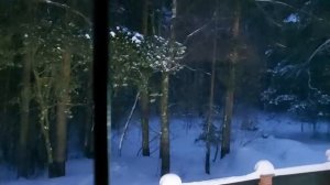 ЦАРИЦА КОБРА  ЯЗЫК ТЁМНЫХ ДУХОВ  ОТ ВРАГОВ  ДЛЯ СМЕЛЫХ  ВЕДЬМИНА ИЗБА  ИНГА ХОСРОЕВА