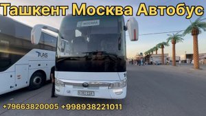 Ташкент Москва Автобус 2025
Москва Ташкент Автобус 2025