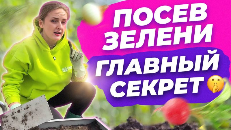 ПОСЕВ ЗЕЛЕНИ В ОТКРЫТЫЙ ГРУНТ
