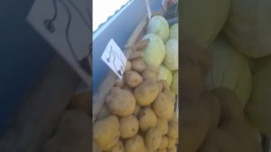 РЫНОК В БЕРДЯНСКЕ. АЗОВСКОЕ МОРЕ.