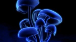 Pendulum - Blood Sugar