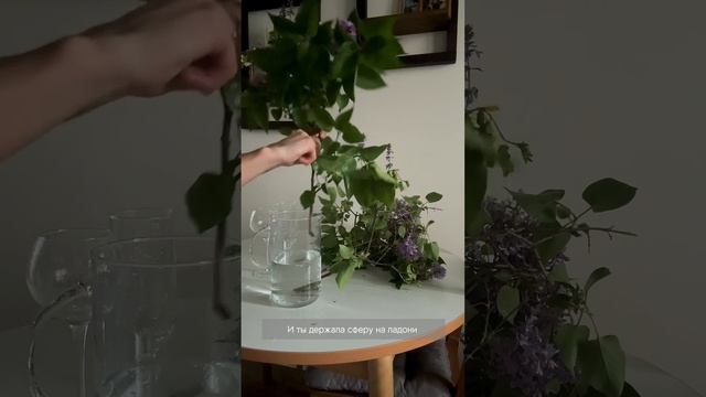 Сирень и стихи Тарковского - это «Первые свидания» смотреть онлайн