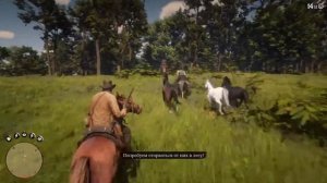 Red Dead Redemption 2 - "Конина на ужин" Как пройти на золото