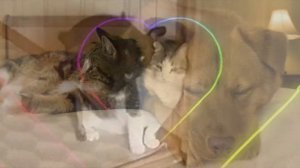 Отпути не путю — Лучшая подруга (премьера клипа, 2023)