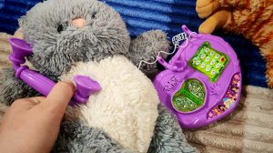играем в детский музыкальный телефон для малышей и плюшевого котика
