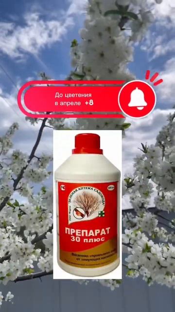 Обработка сада весной #сад #огород #обработкаотвредителей