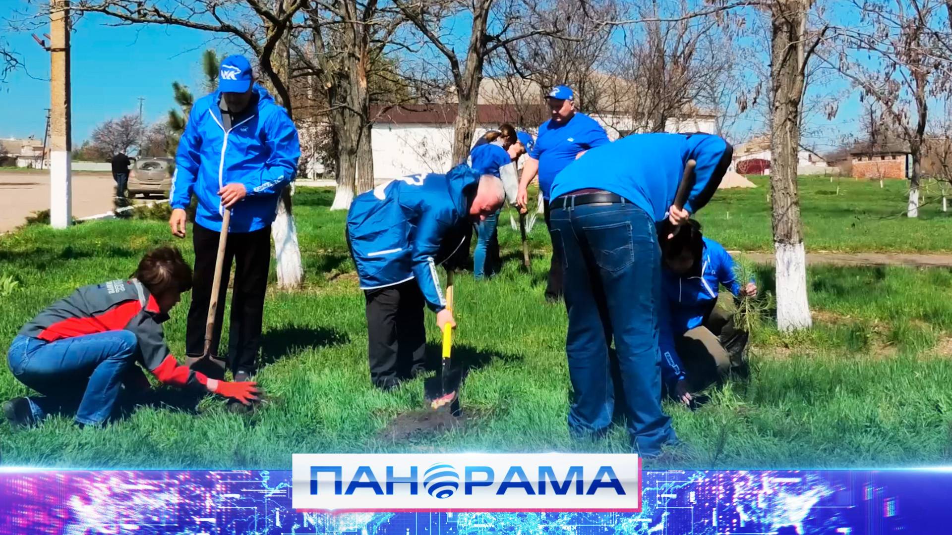 80 саженцев крымской сосны в селе Коньково! В Тельмановском округе появился «Сад памяти»