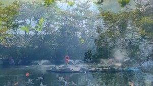 Black Forest Pattaya. Restaurant in Pattaya.Cafe. Рестораны в Паттайе. Куда сходить в Паттайе