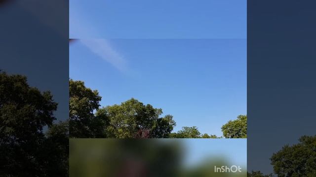 Самое красивое пение - это пение птиц! 2020 смотреть онлайн