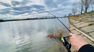 Ловля на микроджиг эту рыбу я не ожидал поймать.