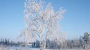 Средства выразительности 3 класс