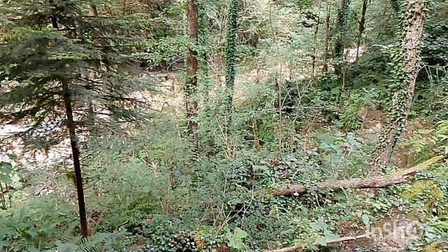 Мезмай. К водопаду Исиченко