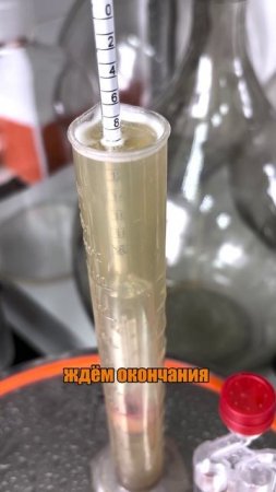 🍺 Готовим дальше самую вкусную медовуху: на очереди — брожение.