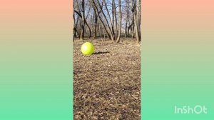 Почему Царь устаёт на тренировке