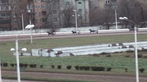Московский ипподром. Бега. 17.12.17. Все финиши дня