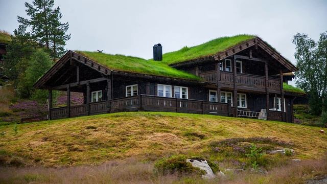 Country music leisure focus and illustration black house covered with green grass roof смотреть онлайн