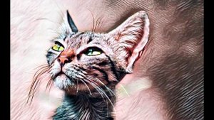 Голод. Невероятная история в которую трудно поверить