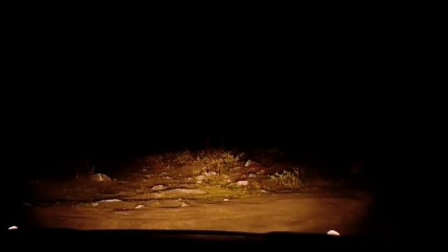 Едем за сиянием смотреть онлайн