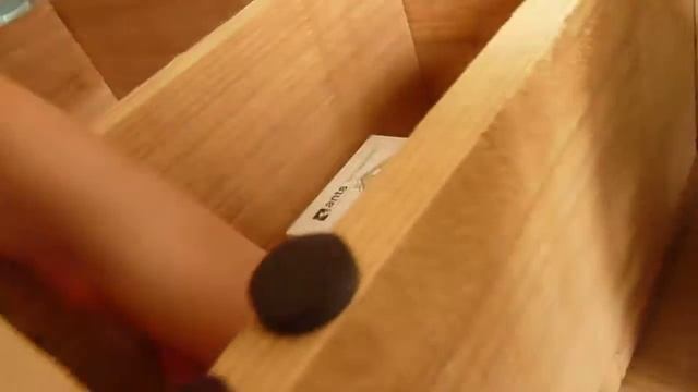 look at my new queen ant. смотреть онлайн