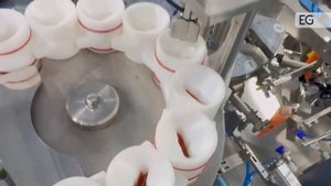 Роторный станок для упаковки штучной продукции в пакеты SW-200