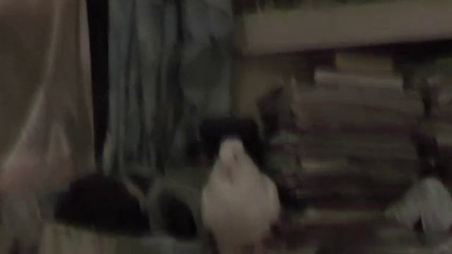 №1507.  События дня. Иоан.13:13 называете Меня… Господом, и правильно... 27. 01. 2020
